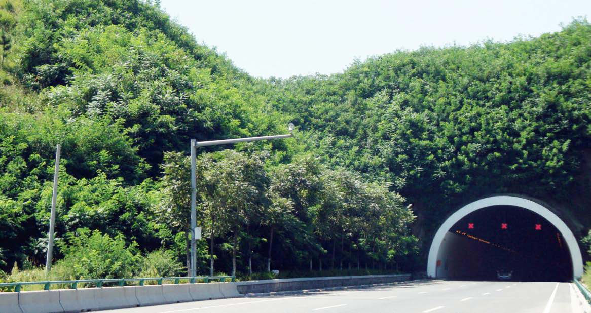 青島市西海岸下穿通道路生態(tài)修復(fù)工程